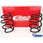 Eibach Pro-Kit 30mm BMW e39 Touring 520i 523i 525i 528i...