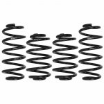 Eibach Pro-Kit 30mm Lowering Springs for VW Passat (3B2)...