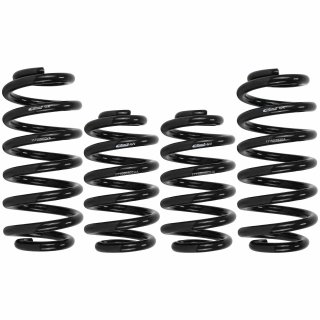 Eibach Pro-Kit 30mm Springs Tieferlegungsfedern Audi A6 Avant (4F5,C6) 2.7 TDI