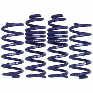 H&R Lowering Springs for Mercedes C-KLasse S205 / A205