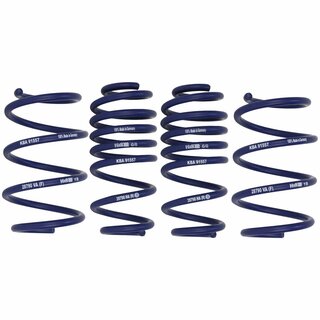 H&R Lowering Springs for BMW 2er Gran Tourer F46 F45 and X1 F48 xDrive