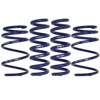 H&R 30/25 mm Lowering Springs for BMW 3er Touring G21 330i xDrive 320d xDrive