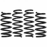 Eibach Pro-Kit 25mm Lowering Springs for Tesla Model 3 AWD