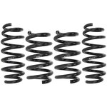 Eibach Pro-Kit 30mm lowering springs for TESLA Model Y...