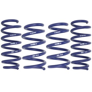 H&R 40/50mm Lowering Springs for TESLA Model Y Allrad AWD Perfomance Long Range