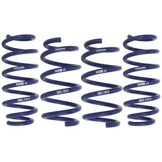 H&R 40/35mm Lowering Springs for Tesla Model 3 Standard Range (rear wheel drive)