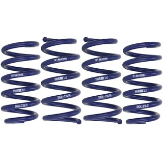 H&R 28634-2 35mm Lowering Springs Sport Springs for BMW X5 G05 X6 G06