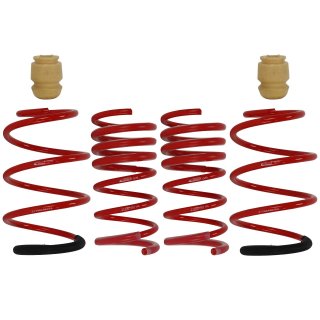 Eibach Sportline 45-50/30mm lowering springs FIAT 500 312