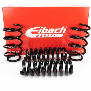 Eibach Pro-Kit 25mm Tieferlegungsfedern fr BMW X1 E84 xDrive 20i 25i 28i 18d 20d 23d 25d