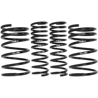 H&R 29531-1 35mm Lowering Springs Sport Springs for BMW e21