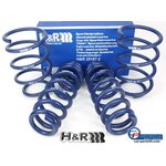 H&R 29187-2 Lowering Springs 35/20mm for BMW E91 Touring...