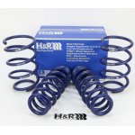 H&R lowering springs 40/20mm for BMW e91 335d