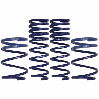 H&R 50/50mm lowering springs for BMW 5 series e60 520i 523i 525i 530i 520d 525d