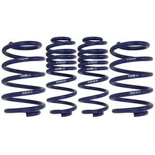 H&R Lowering Springs for BMW X5 E53 without Air Suspension