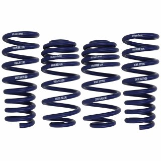 H&R 30-40mm lowering springs for BMW X5 E70 X6 E71 E72 front axle load from 1251kg