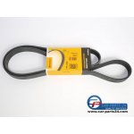 V-Ribbed Belts Contitech 7PK1605 BMW e32 / e34 / e31 /...