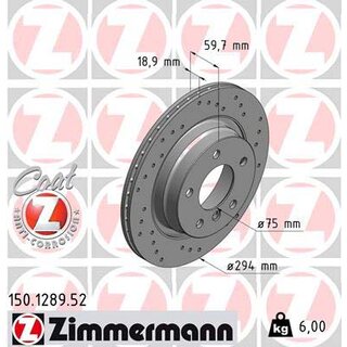 Zimmermann Sport Bremsscheibe Hinterachse fr BMW e46 294x19mm