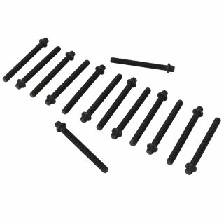 Elring cylinder head bolt set for all BMW M50 / M52