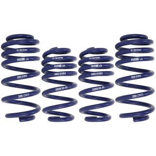 H&R 40 mm Lowering Springs for Audi A6 (4F2, C6)