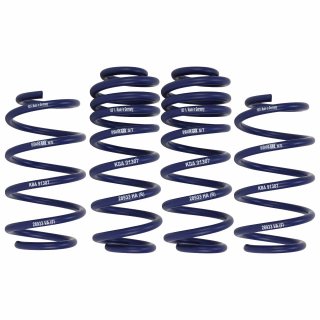 H&R 25/40 mm Lowering Springs for VW Sharan 7N / Seat Alhambra