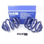 H&R 40mm lowering springs for Volkswagen VW T4