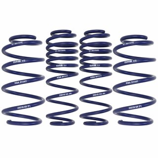 H&R 25/40mm Lowering Springs Set for Seat Ibiza IV up to 860kw Front Axle Load