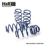 H&R 25/40mm Lowering Springs Set for Seat Ibiza IV from...