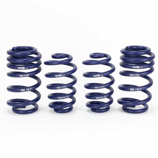 H&R Lowering Springs 45mm for Audi A4 8E5 B6, 8ED B7 Quattro auch Avant Quattro