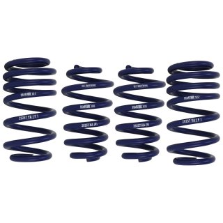 H&R 25-30 mm Lowering Springs for Audi S4 B6 B7 Limousine Avant