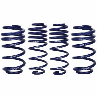 H&R Lowering Springs for Audi A4 A5 from Front Axle Load 1101 kg