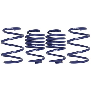 H&R 20/30mm Lowering Springs Renault Clio III 2.0 16V up to 12/2010