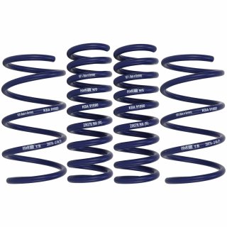 H&R 35 mm Lowering Springs for Mercedes C-Klasse 204 E-Klasse 207