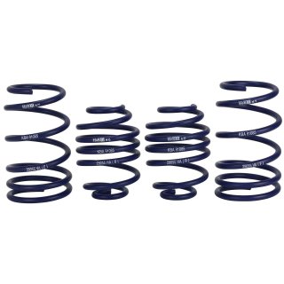 H&R 20 - 30mm Spring for Renault Twingo und Wind from 2007