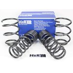 H&R Tieferlegungsfedern 35mm fr BMW e60 525xd 530xd 525d...