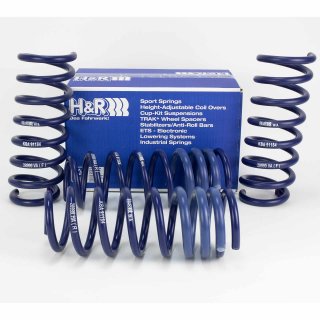 H&R 40mm Tieferlegungsfedern Springs fr BMW F01 F02 F03 F04 730i 740i 730d 740d