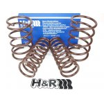 H&R 29533-1 lowering springs 40mm for BMW 5er E12