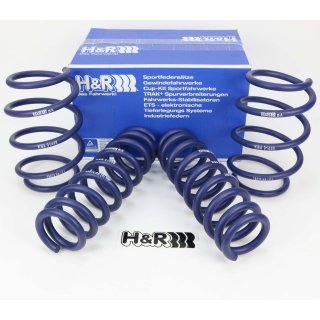 H&R lowering springs for BMW 3er F31 F33 F83 F34 front axle load to 965 kg