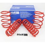 H&R lowering springs for BMW F31 45mm F33 F83 30/20mm...