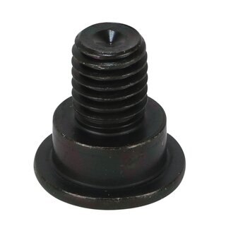 Disc screw, Screw for brake disc