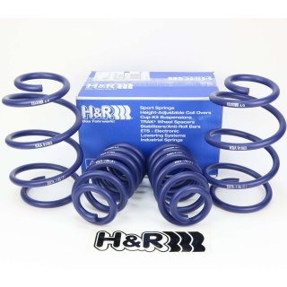 H&R 40mm Federn springs VW Volkswagen T5 T6 max Achslast vorne 1500kg