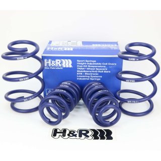 H&R 40mm lowering springs for VW Volkswagen T5 T6 Multivan Bus Transporter Kasten