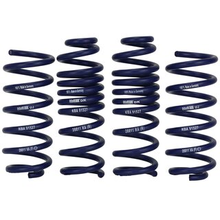 H&R 40 mm lowering springs for Mercedes Benz W205 C205 A205 S205