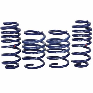 H&R Lowering Springs for Audi RS3 Limousine 30/20mm / Sportback 40/30mm 2015-